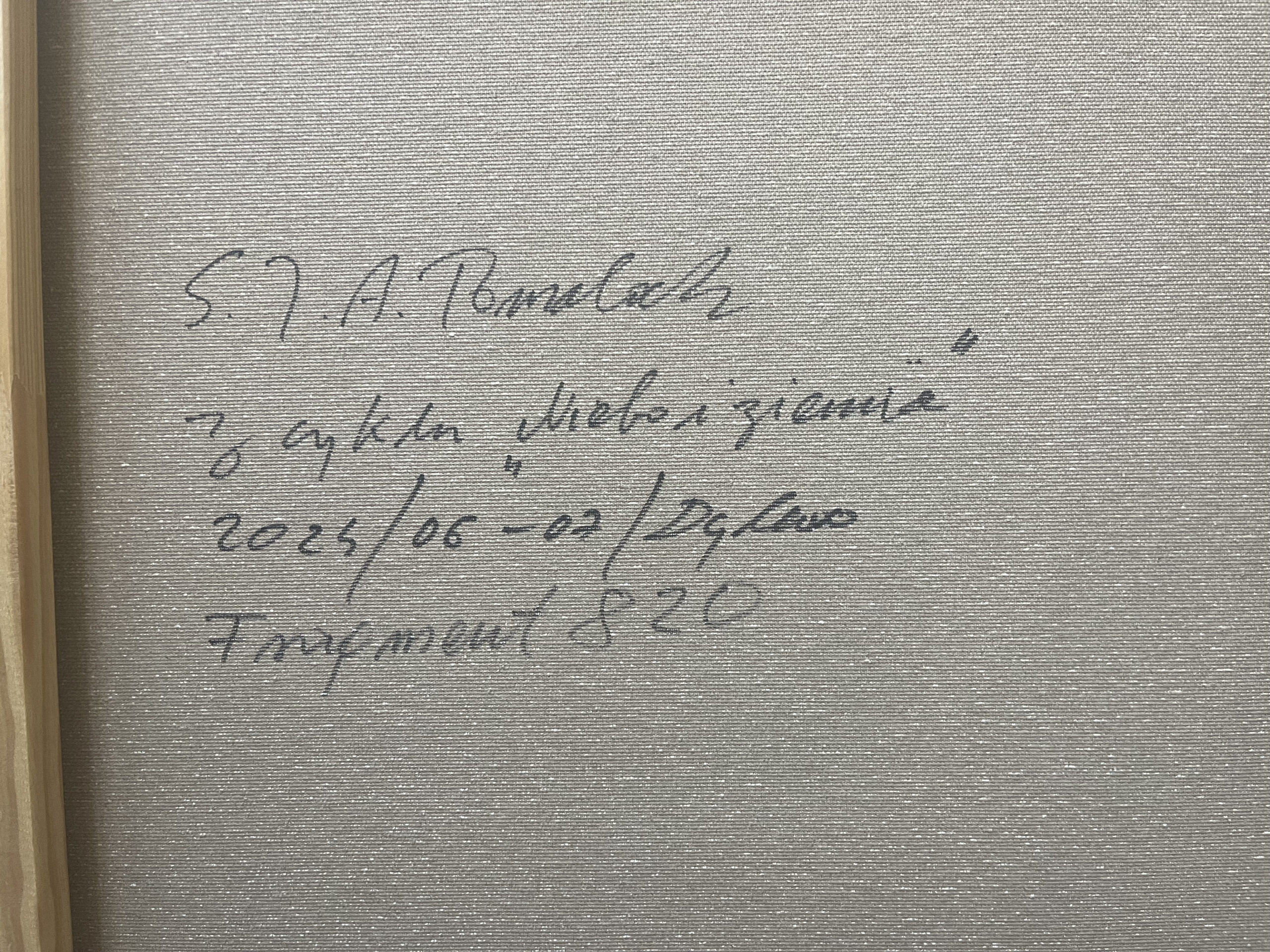 Stanisław Tomalak, Fragment 820 ,2024 - obrazek 3
